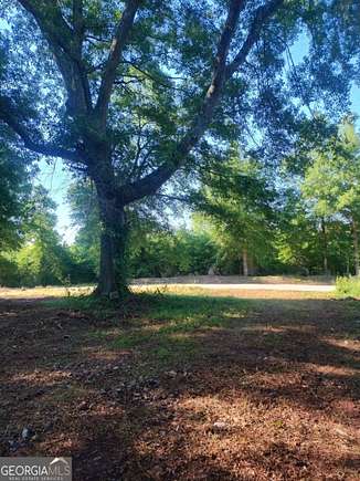 7.41 Acres of Residential Land for Sale in Franklin, Georgia