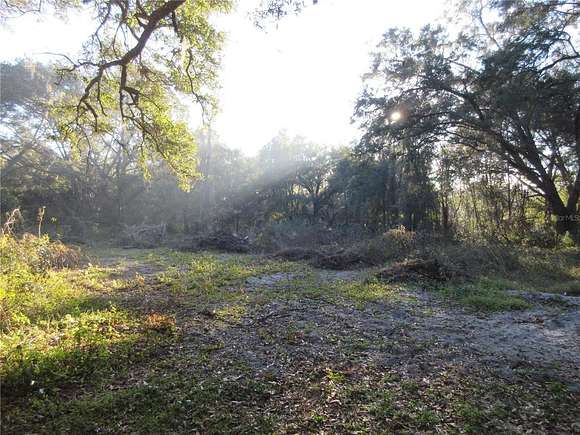 0.96 Acres of Residential Land for Sale in Ocklawaha, Florida