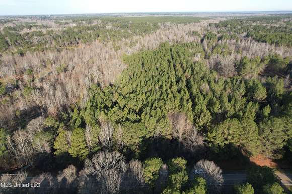 25.05 Acres of Land for Sale in Canton, Mississippi