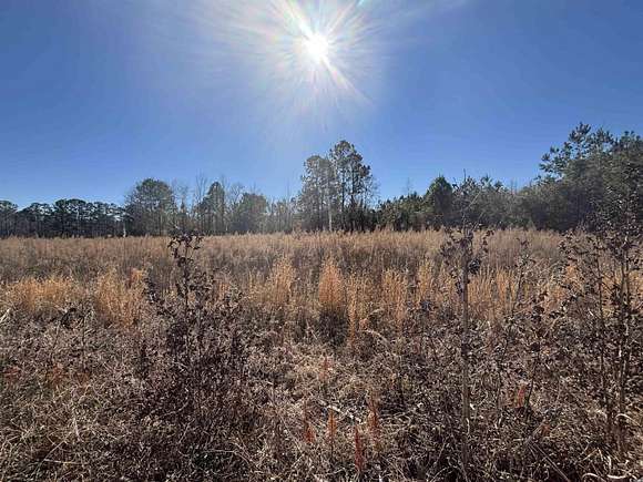 30.2 Acres of Recreational Land & Farm for Sale in Hemingway, South Carolina