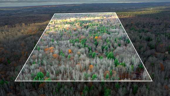 60 Acres of Land for Sale in Lake City, Michigan