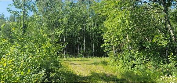 280 Acres of Recreational Land for Sale in Hayward, Wisconsin