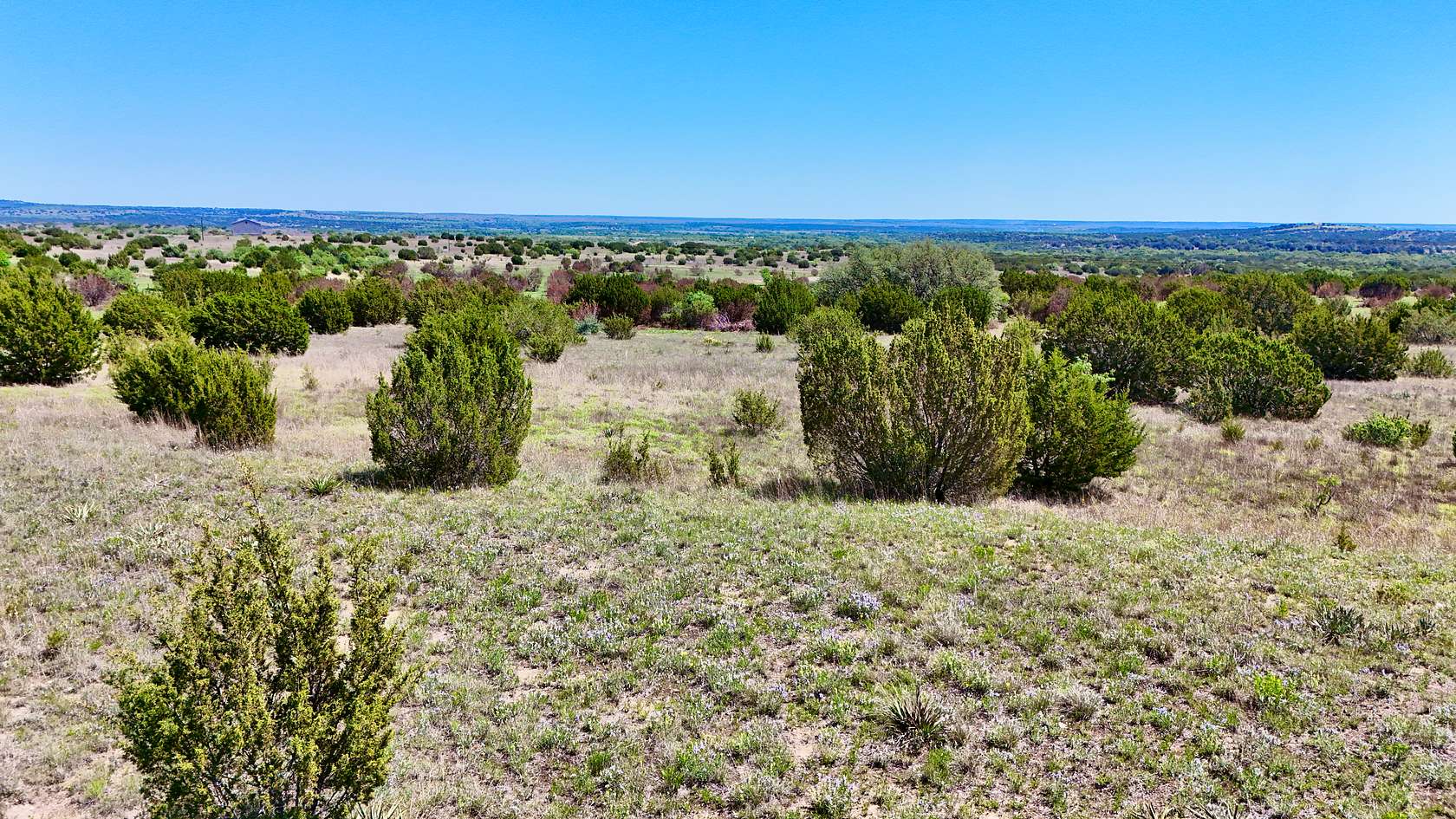 30 Acres of Land for Sale in Lometa, Texas