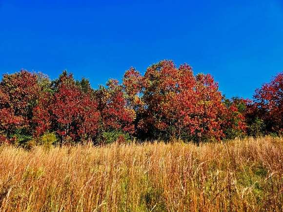 77.5 Acres of Land for Sale in Carson, Mississippi