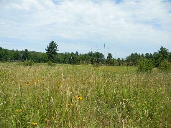 2.4 Acres of Residential Land for Sale in Pentwater, Michigan