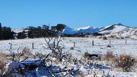 5.79 Acres of Residential Land for Sale in Cotopaxi, Colorado