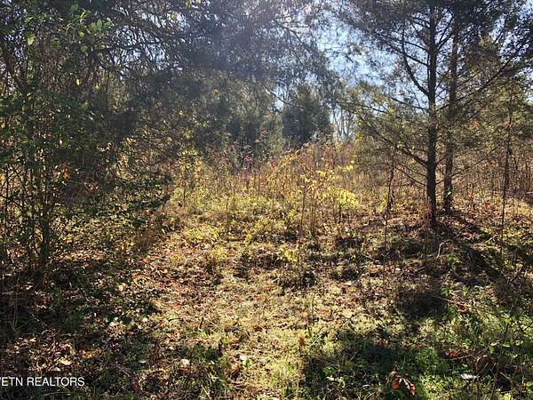 9.9 Acres of Residential Land for Sale in Strawberry Plains, Tennessee