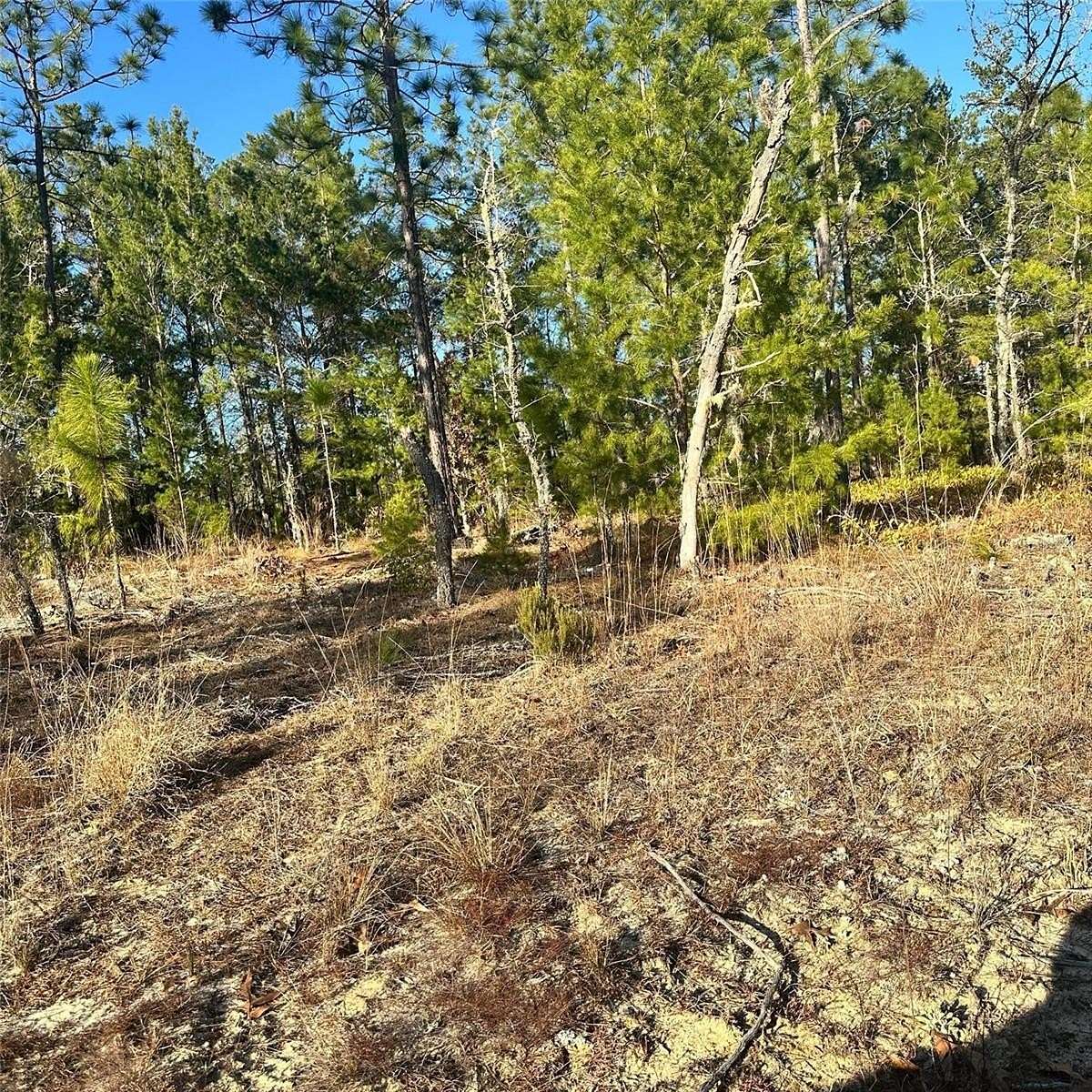 0.26 Acres of Residential Land for Sale in Interlachen, Florida