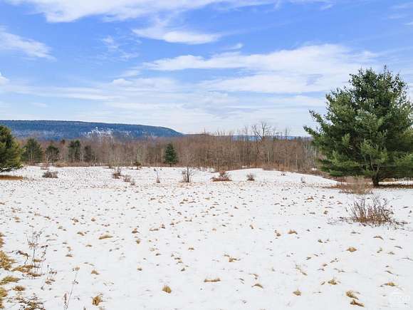 6.216 Acres of Residential Land for Sale in Blenheim Town, New York