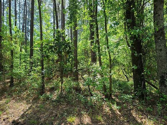 2.14 Acres of Residential Land for Sale in Dalzell, South Carolina