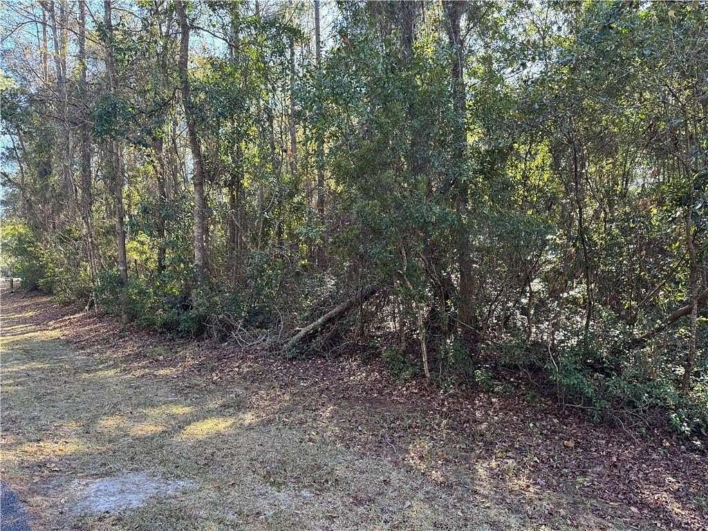 1 Acre of Residential Land for Sale in Townsend, Georgia