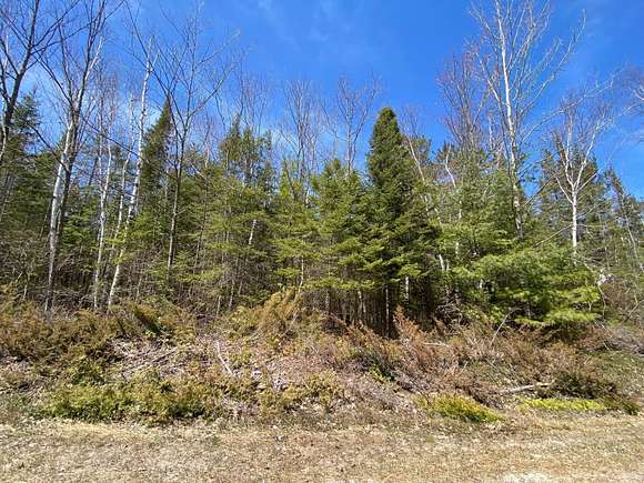 0.36 Acres of Land for Sale in Presque Isle, Michigan