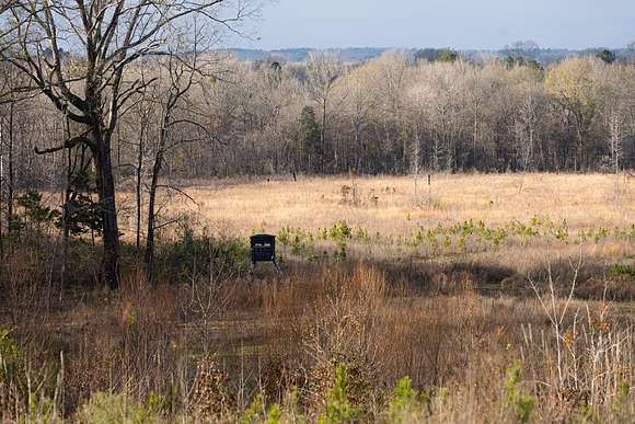 130 Acres of Recreational Land for Sale in Pattison, Mississippi