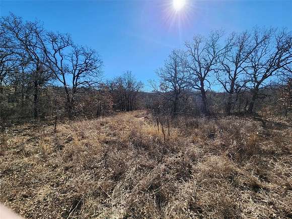 56 Acres of Land for Sale in Springtown, Texas