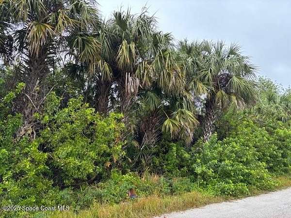 0.23 Acres of Residential Land for Sale in Palm Bay, Florida