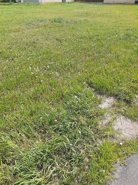 0.04 Acres of Residential Land for Sale in Colorado City, Colorado