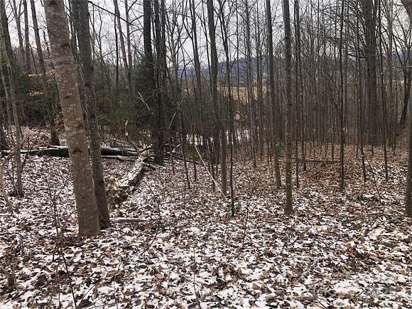 1 Acre of Residential Land for Sale in Leicester, North Carolina