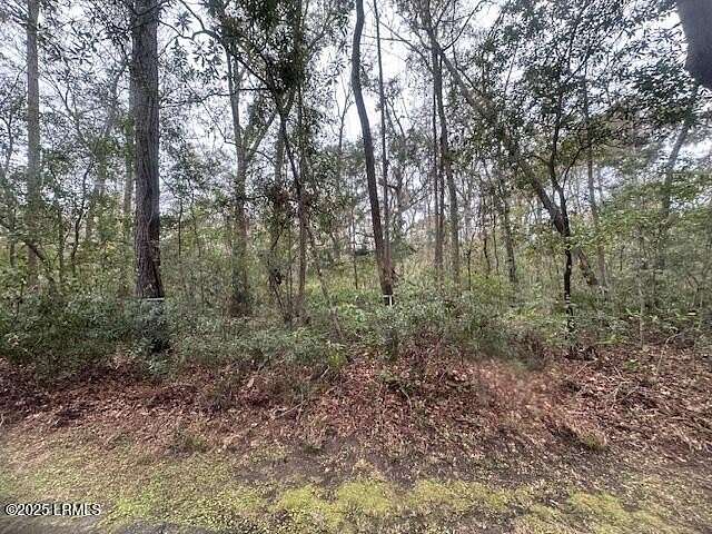 0.98 Acres of Residential Land for Sale in Seabrook, South Carolina