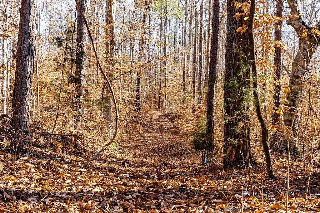 12 Acres of Recreational & Residential Land for Sale in Abbeville, South Carolina