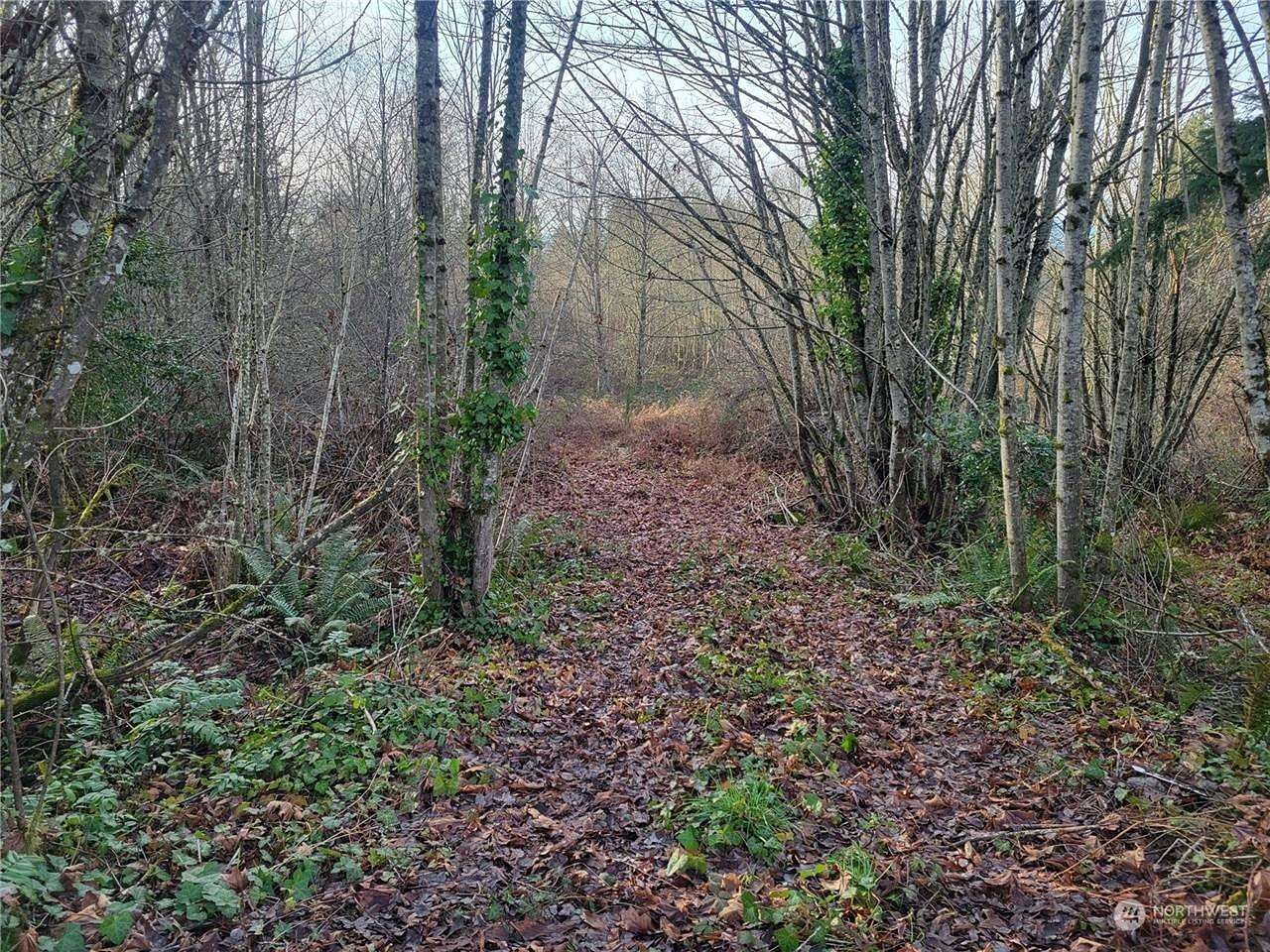 10 Acres of Residential Land for Sale in Port Orchard, Washington