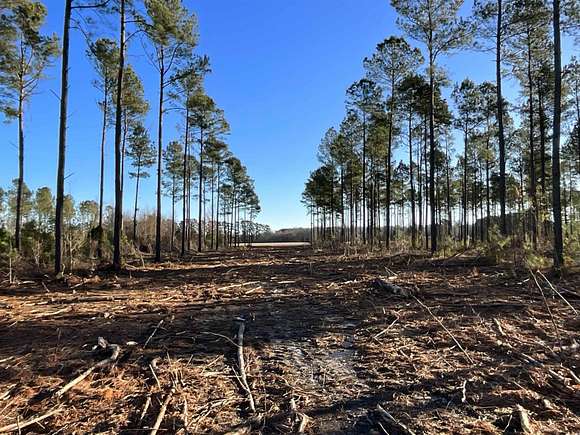 24.3 Acres of Land for Sale in Marion, South Carolina