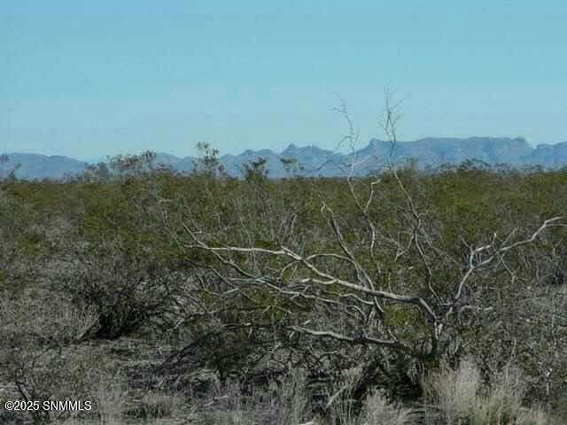 5.34 Acres of Land for Sale in Williamsburg, New Mexico