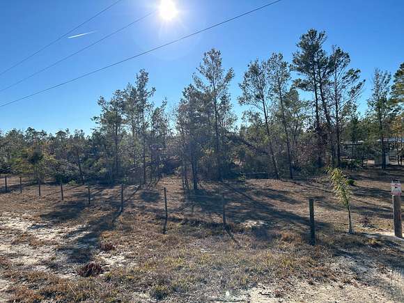 4.81 Acres of Recreational Land for Sale in Perry, Florida