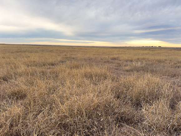 80 Acres of Recreational Land & Farm for Sale in Gate, Oklahoma