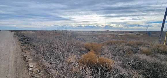 20 Acres of Mixed-Use Land for Sale in Big Lake, Texas