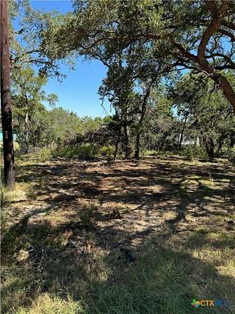 0.26 Acres of Residential Land for Sale in Spring Branch, Texas