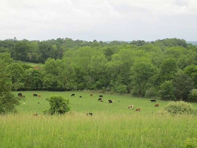 0.47 Acres of Residential Land for Sale in Cookeville, Tennessee