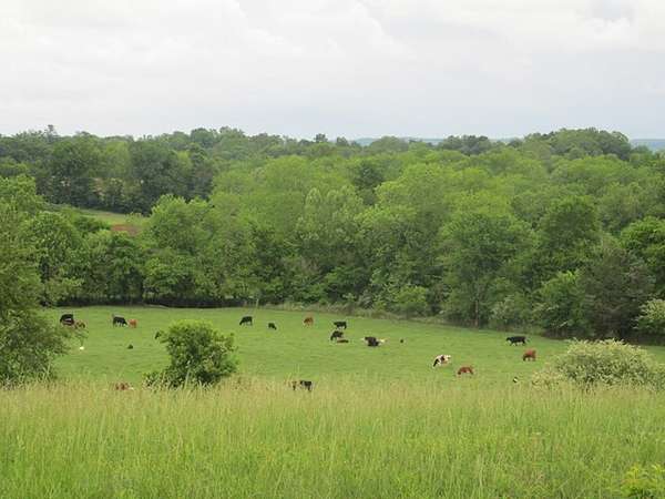 0.47 Acres of Residential Land for Sale in Cookeville, Tennessee