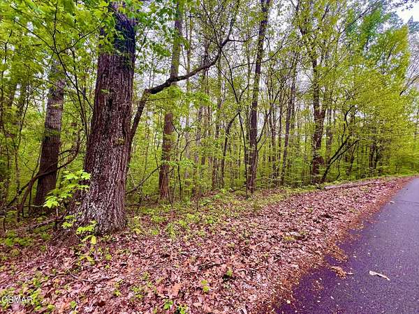1.34 Acres of Residential Land for Sale in Madisonville, Tennessee