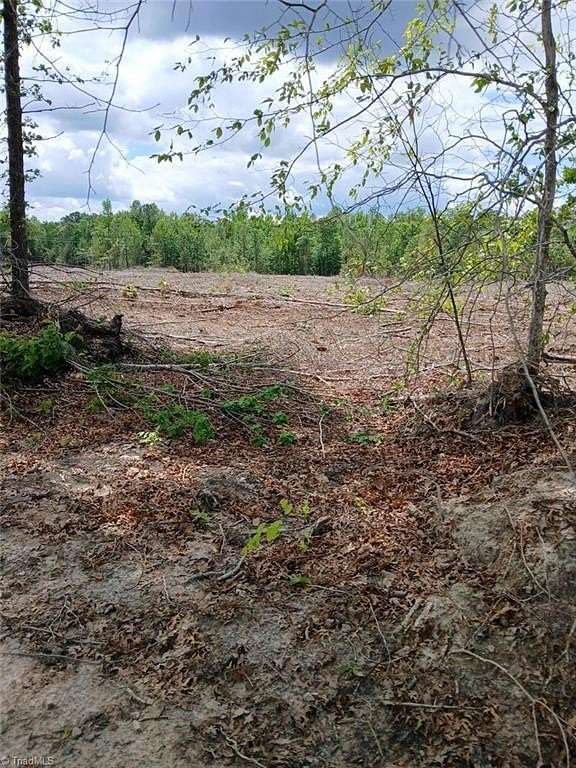 17.2 Acres of Land for Sale in Macon, North Carolina