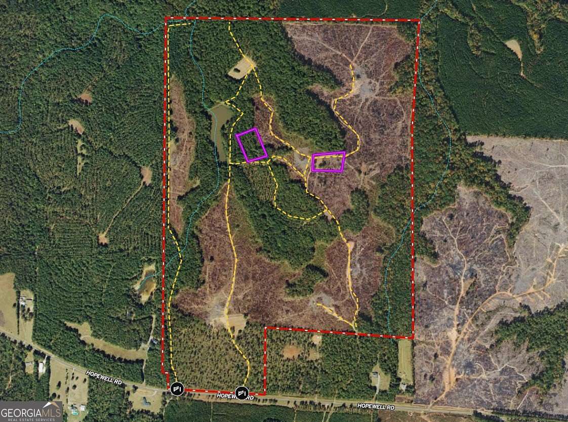293 Acres of Recreational Land for Sale in Forsyth, Georgia