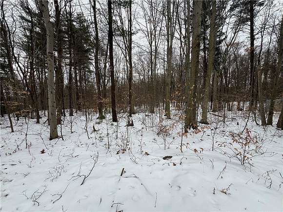 3.44 Acres of Land with Home for Sale in Reading Town, New York