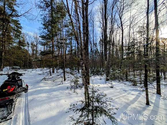 80 Acres of Recreational Land & Farm for Sale in Watersmeet, Michigan