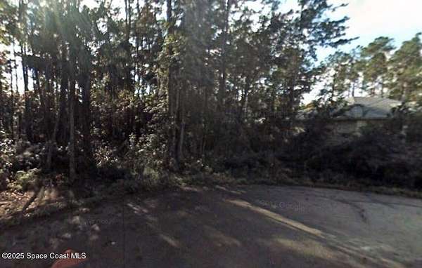 0.23 Acres of Residential Land for Sale in Palm Coast, Florida