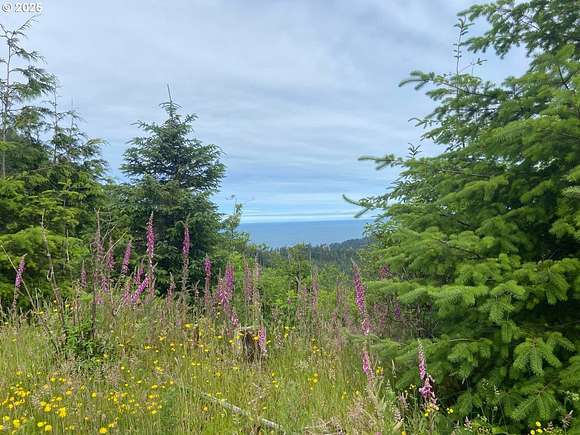 360 Acres of Recreational Land for Sale in Manzanita, Oregon