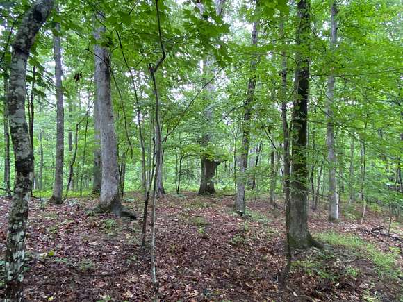 80 Acres of Recreational Land for Sale in Antioch, Alabama