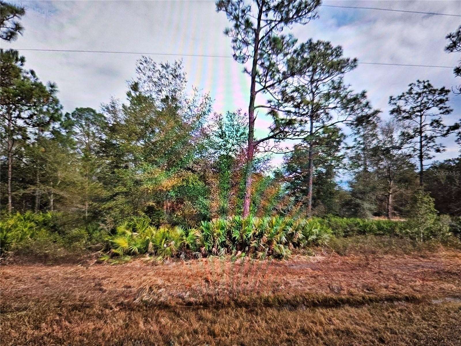 0.43 Acres of Residential Land for Sale in Interlachen, Florida