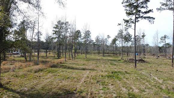 4.79 Acres of Residential Land for Sale in Pine Grove, Louisiana