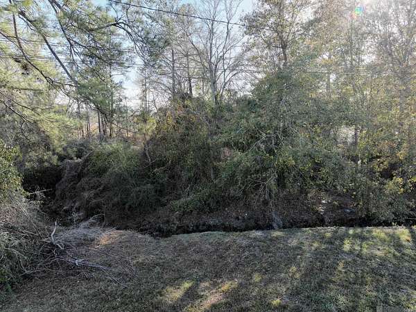 0.53 Acres of Commercial Land for Sale in Denham Springs, Louisiana