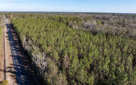 40 Acres of Land for Sale in Live Oak, Florida