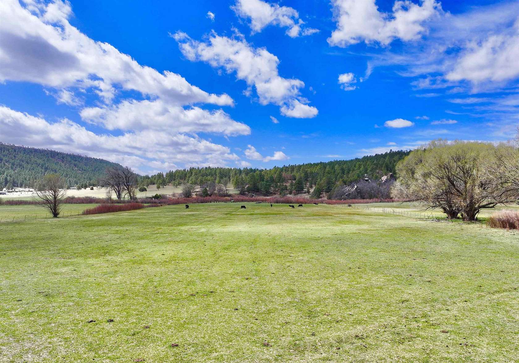 200 Acres of Recreational Land & Farm for Sale in Mora, New Mexico