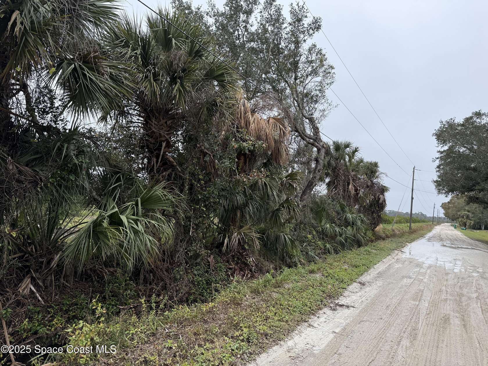 2.5 Acres of Land for Sale in Mims, Florida