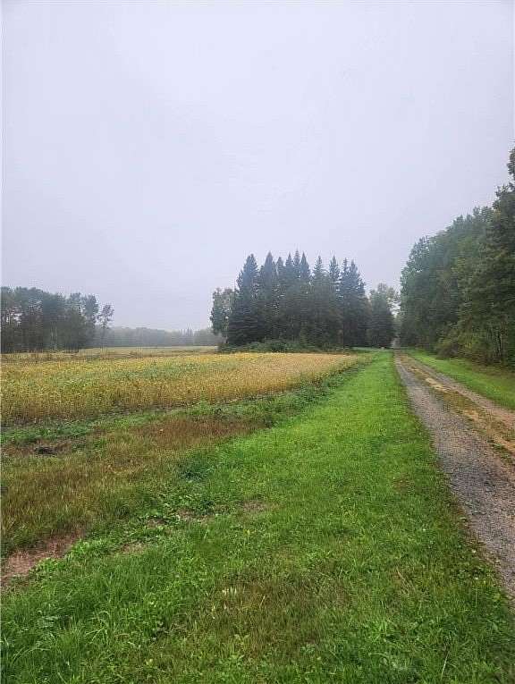 79.5 Acres of Recreational Land & Farm for Sale in Kelliher, Minnesota