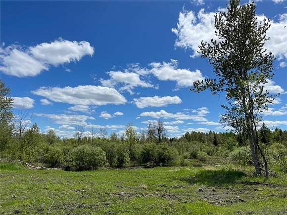 79.48 Acres of Recreational Land & Farm for Sale in Kelliher, Minnesota