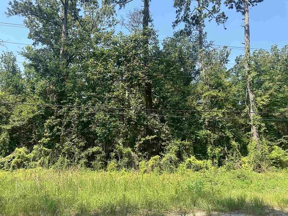 3.58 Acres of Residential Land for Sale in Holden, Louisiana