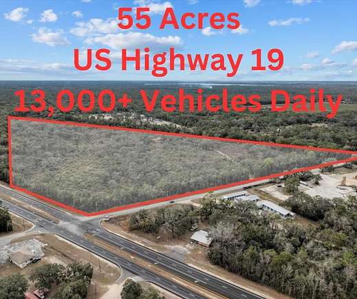 53.8 Acres of Land for Sale in Trenton, Florida